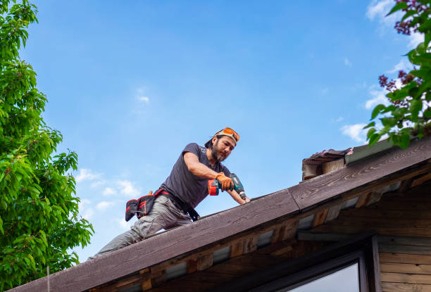 Best Roof Moss and Algae Removal  in Connellsville, PA
